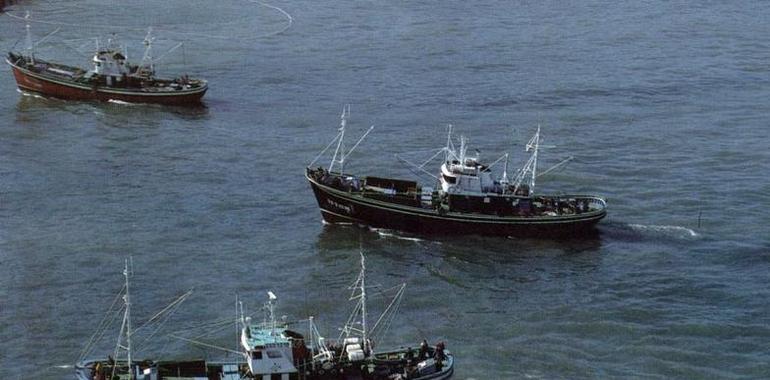 La Mesa de Trabajo analizará la aplicación de las ayudas estatales en el sector de la pesca