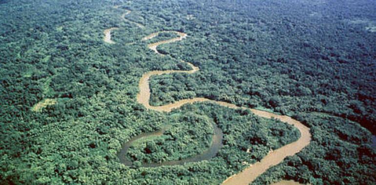 UNESCO inscribe la Reserva de Biosfera de Río Plátano en la Lista del Patrimonio Mundial en Peligro