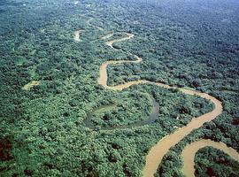 UNESCO inscribe la Reserva de Biosfera de Río Plátano en la Lista del Patrimonio Mundial en Peligro