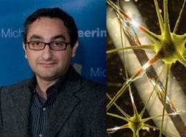 Un gran avance en la curación de traumatismos neuronales 