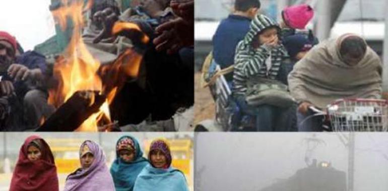 23 more die as cold wave sweeps entire North India, UP toll reaches to 155 