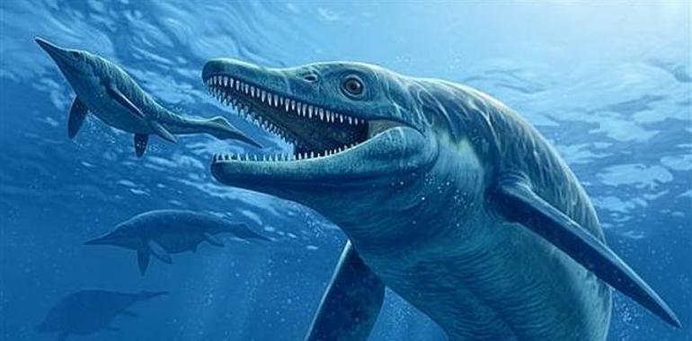 Descubren un depredador marino gigante que se alimentaba de presas de su tamaño