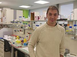 Nueva vía para crear futuros biosensores de medición de la glucosa