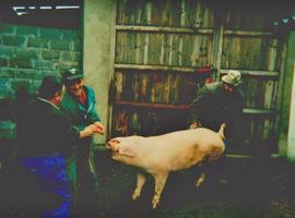 El cocinero Jeff Weiss y el fotógrafo Nathan Rawlinson en busca del arcano chacinero astur