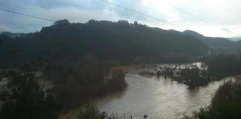 Emergencias lleva registradas 152 incidencias en 37 municipios por el temporal