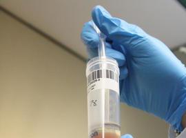 Descubierta la ‘cuádruple hélice’ de ADN en células humanas 