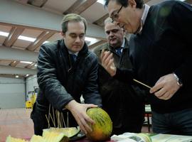 Realizan un \catálogo\ del melón español