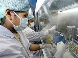 La FAO alerta del riesgo de un rebrote de la gripe aviar si se baja la guardia