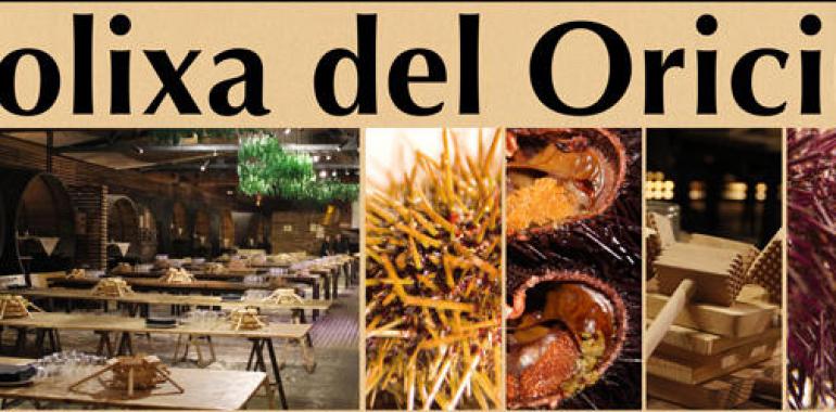 VII Folixa del Oriciu en Tierra Astur Águila
