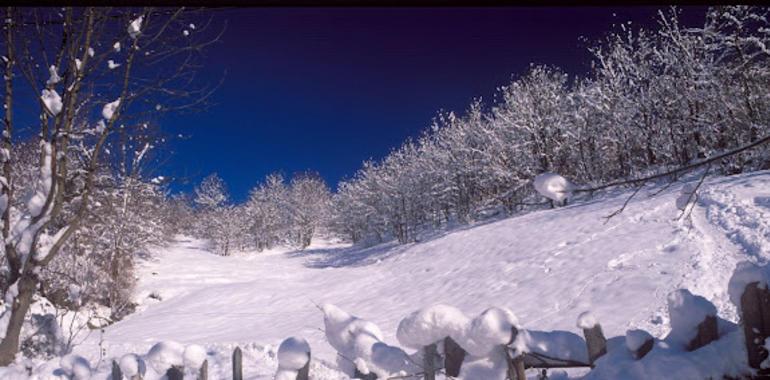 Continúan con cadenas los puertos de Montaña, pero la nieve se irá retirando durante el domingo