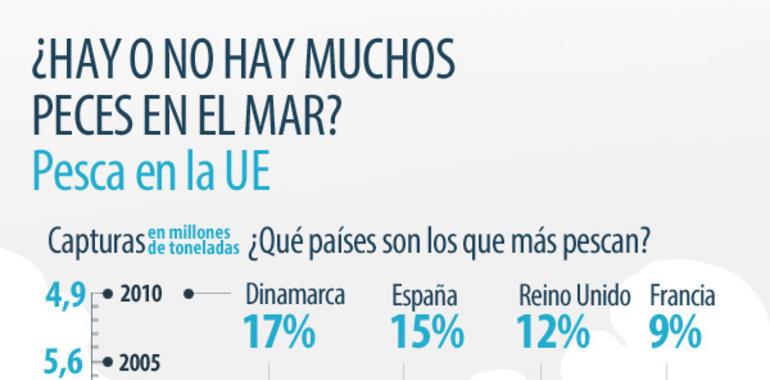 ¿Hay o no hay muchos peces en el mar