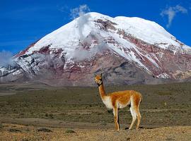 Restacatan el cuerpo del turista alemán que fallació de un infarto en el Nevado Chimborazo