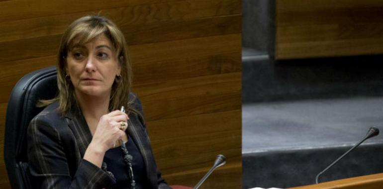 La consejera reitera que la selección del gerente de Vipasa se ajustó escrupulosamente a la ley