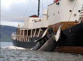 Ecuador se opone a la “caza científica de ballena” que ejerce Japón