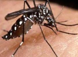 Argentina recomienda a los viajeros tomar precauciones para evitar casos de dengue