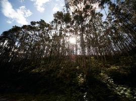 La televisión pública belga graba un documental sobre el turismo y la cultura en Asturias