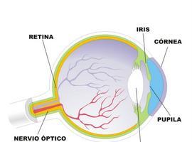 Un sistema de bajo coste para detectar alteraciones en el eje de fijación visual