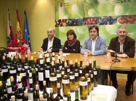 X Cata de Vinos experimentales de Cantabria