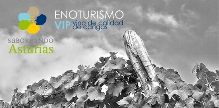 El vino de Calidad de Cangas riega las Experiencias con sabor de Asturias