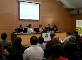 La Consejería propone el recrecido del vertedero central para alargar su vida útil hasta 2019