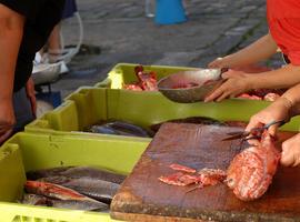 Greenpeace rechaza el reparto de cuotas que perjudica a la pesca sostenible en Asturias