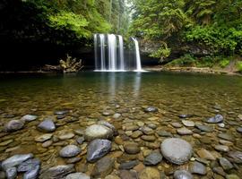 La biodiversidad mejora la calidad del agua