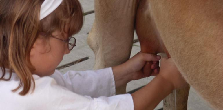 El PP acusa al PSOE impedir de paralizar el Centro Nacional Tecnológico de la Leche de Villaviciosa 