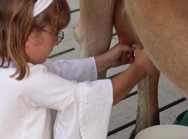 El PP acusa al PSOE impedir de paralizar el Centro Nacional Tecnológico de la Leche de Villaviciosa 