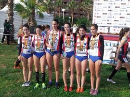 Asturias cosecha un oro y dos bronces en el Campeonato de España de Cross por Clubes