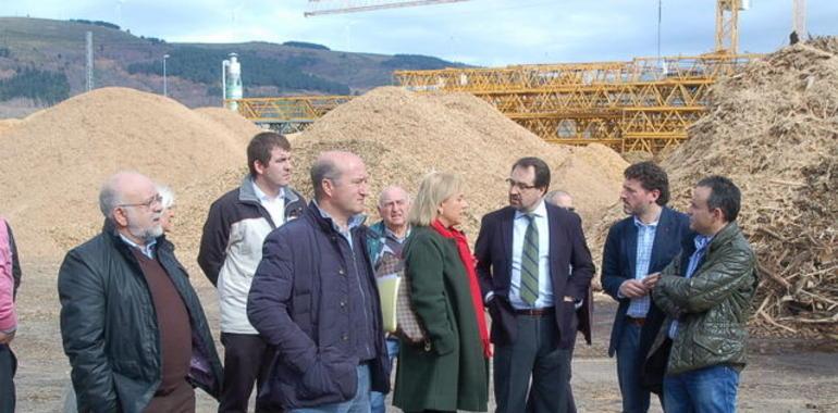 Visita de Mercedes Fernández a Pellets Asturias y otras empresas tinetenses