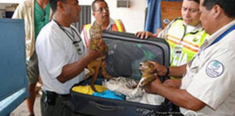 Niegan recurso de hábeas corpus a alemán sentenciado por delito ambiental en Galápagos
