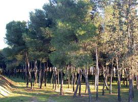 Un manual asesorará a los propietarios de la provincia de Valladolid en la gestión forestal sostenible