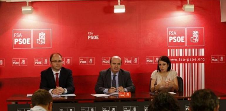 El PSOE pide retirar la ley de reforma local que pretende sacar a concurso la gestión municipal