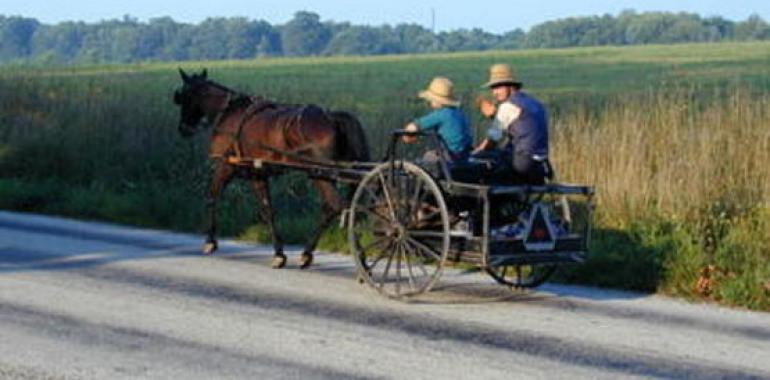 Una mutación genética causa retraso mental en individuos de la comunidad amish