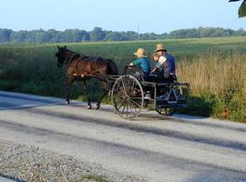 Una mutación genética causa retraso mental en individuos de la comunidad amish