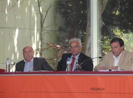 El sector de la construcción seguirá creando empleo pese a la crisis, por el relevo generacional