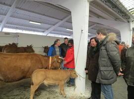 Agroganadería impulsa nuevas ayudas a jóvenes agricultores y a la modernización