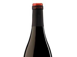 Robert Parker otorga 90 puntos al albariño Burgáns y al mencía Cuatro Pasos, ambos de Martín Códax