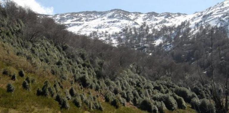FORO pide mayor equilibrio entre los espacios naturales protegidos y los derechos de sus pobladores