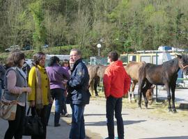 La cabaña equina asturiana se recupera de su hundimiento