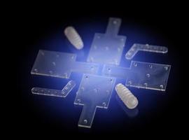 El biovidrio puede actuar de soporte en la regeneración ósea 