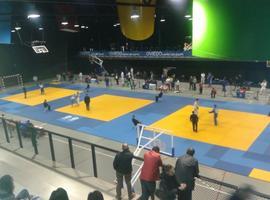 El judo asturiano ya conoce a sus campeones