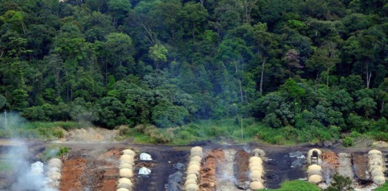 Alertan del repunte de la deforestación en la Amazonía