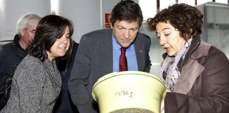 Cultivos marítimos para la recuperación de los bancos naturales de las rías del Eo y Villaviciosa