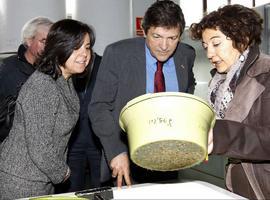 Cultivos marítimos para la recuperación de los bancos naturales de las rías del Eo y Villaviciosa