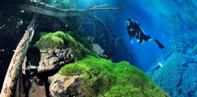 Top destinos de buceo del mundo: Brasil