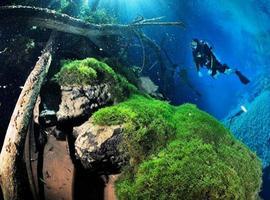 Top destinos de buceo del mundo: Brasil