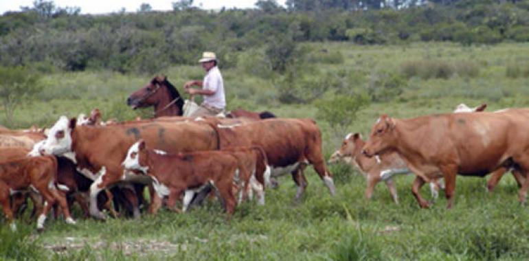 Uruguay intensifica la lucha contra los cuatreros