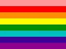 La situación de gays, lesbianas, bisexuales y transexuales, a debate