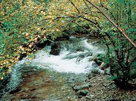 El Principado buscará fórmulas que favorezcan el turismo en el Parque Natural de Fuentes del Narcea